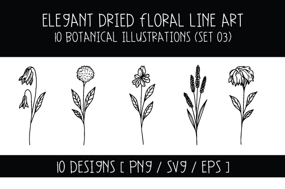 Elegant Dried Floral Line Art Set 03 Guide